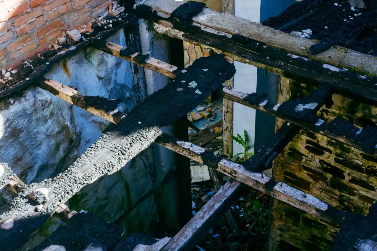 Roof Leak Repair in Metairie, LA